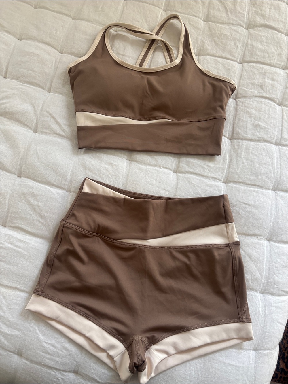 Fern Women’s Brown and Cream Active bra /Short  - Athletic Shorts